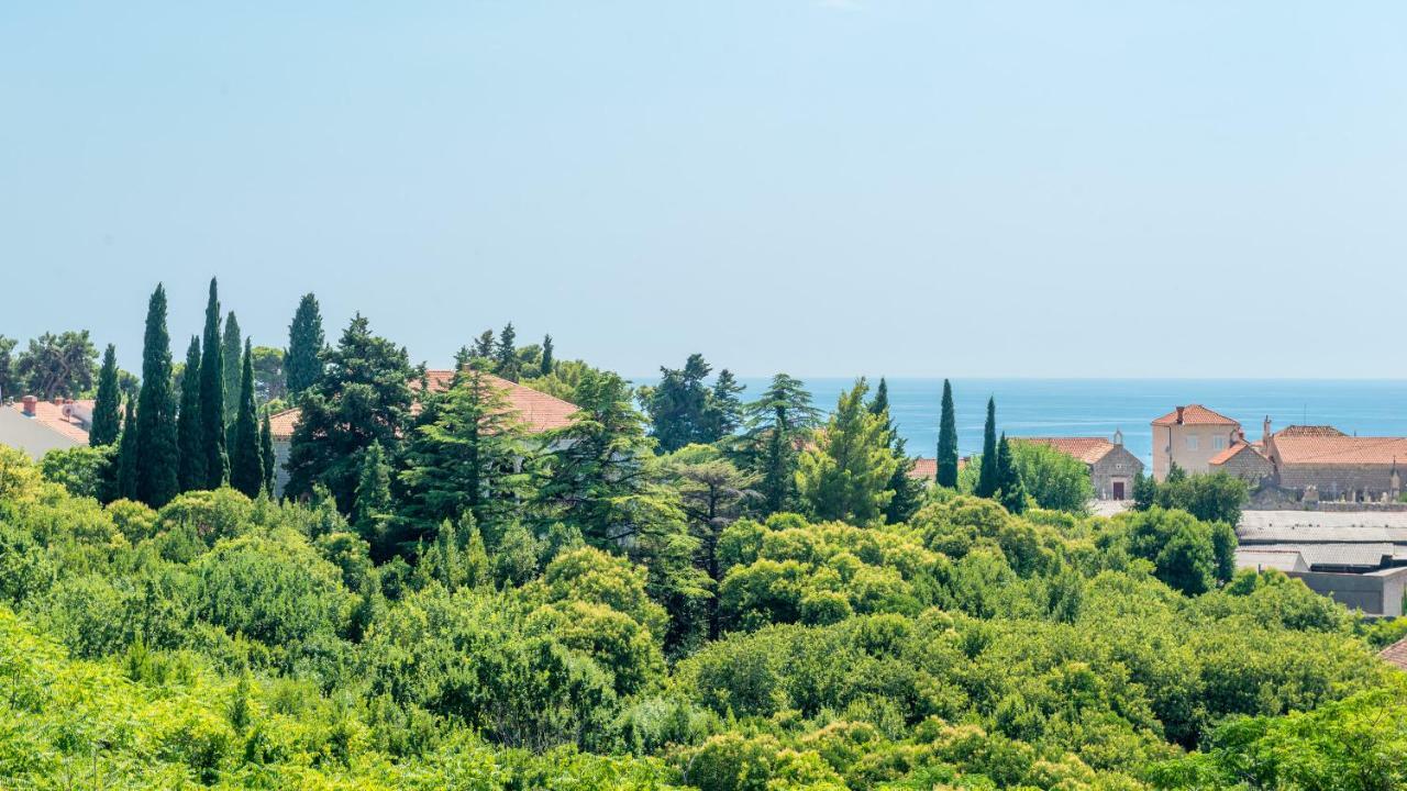 Comfort Apartment Ani Dubrovnik Bagian luar foto